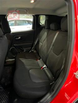 جيب رينيجيد